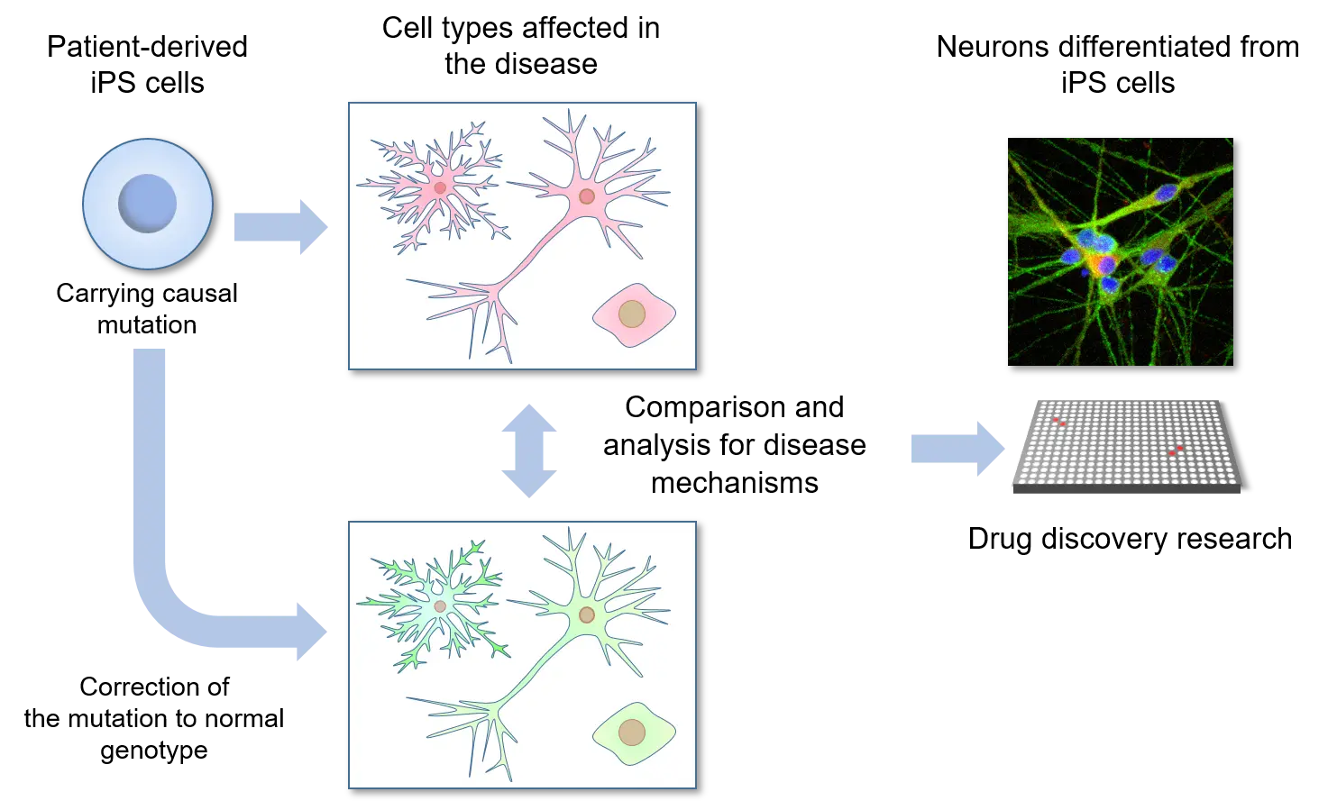 Drug Discovery Research