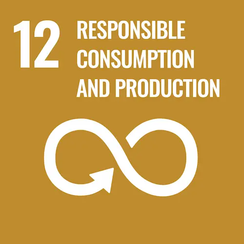 SDGs Goal 12