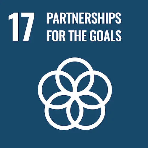 SDGs Goal17